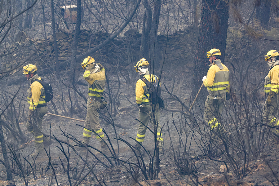 В большей части регионов Испании объявлен красный уровень опасности из-за сильной жары. В регионе Эстремадура лесной пожар охватил около 2,5 тыс. га.
