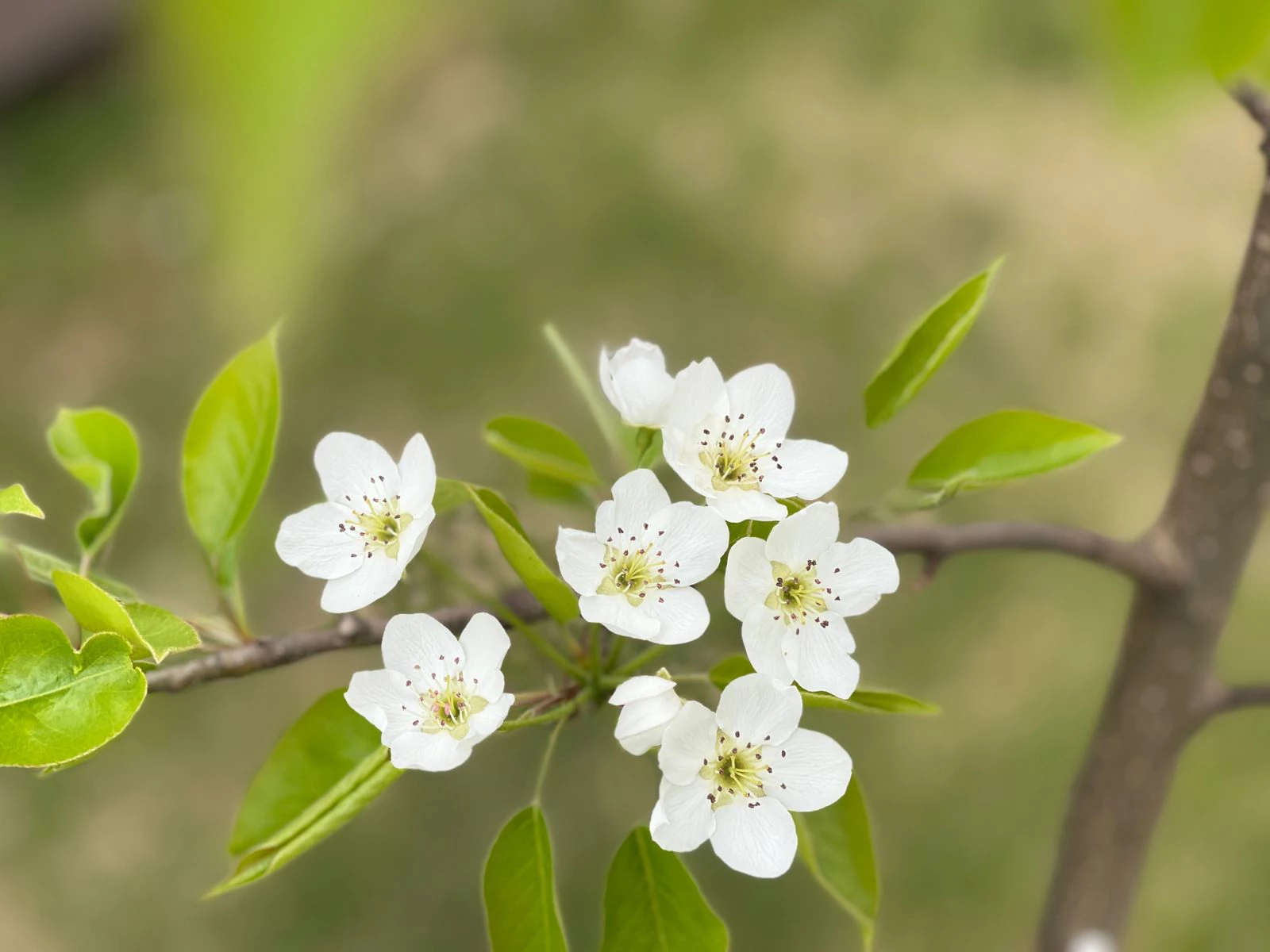 РБК Приморье