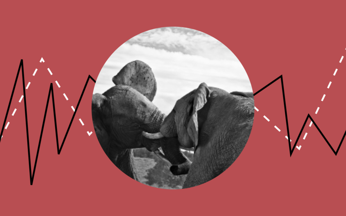 Решающая битва бирж: как пандемия изменила торговые площадки