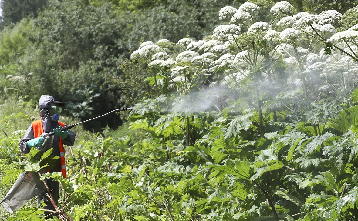 Сергей Савостьянов / ТАСС