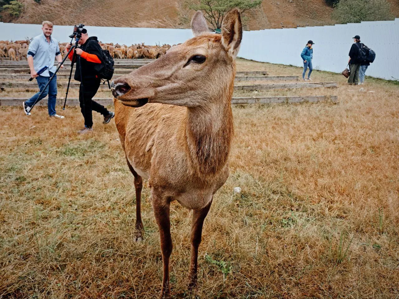 РБК Приморье