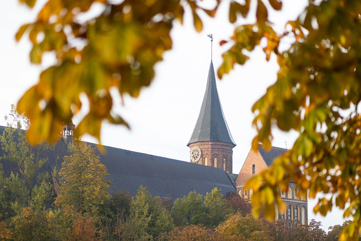 Александр Подгорчук