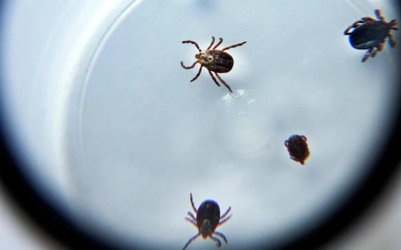 Валерий Матыцин / ТАСС