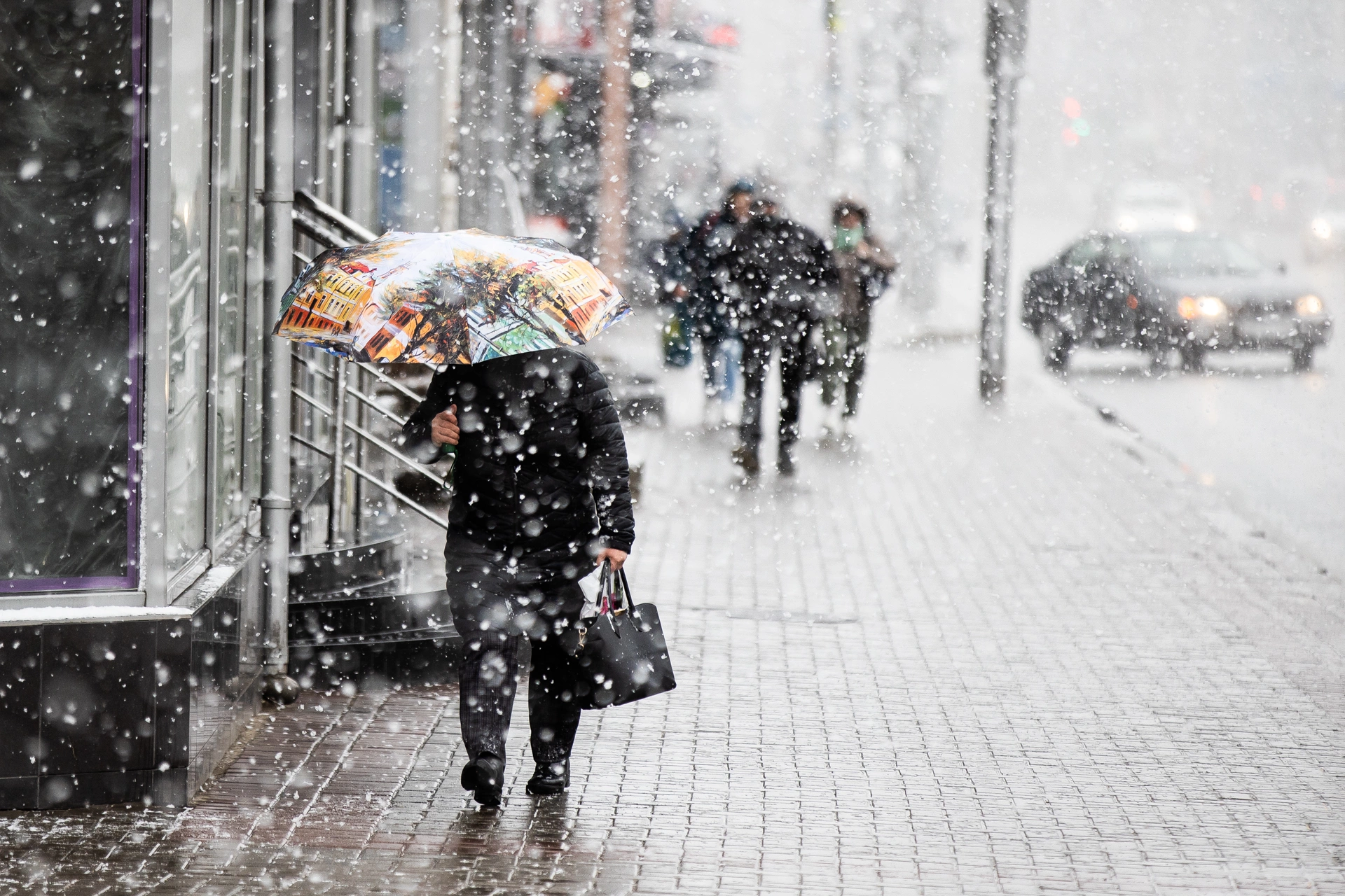 Александр Подгорчук