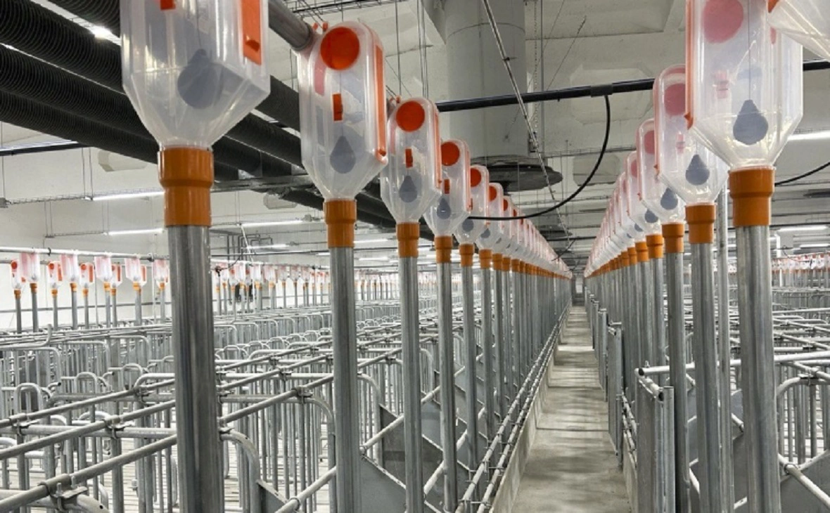 Группа «Продо»