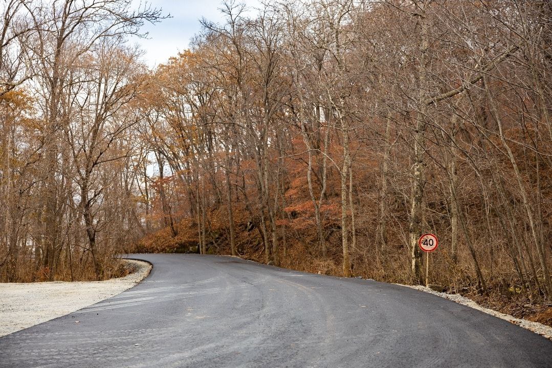 Фото: Администрация Владивостока