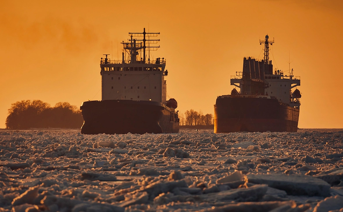 Artic_photo / Shutterstock