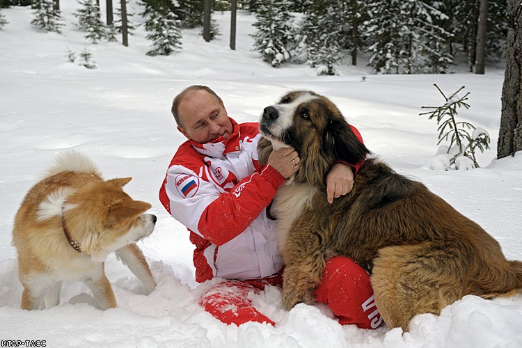 Владимир Путин на прогулке с питомцами