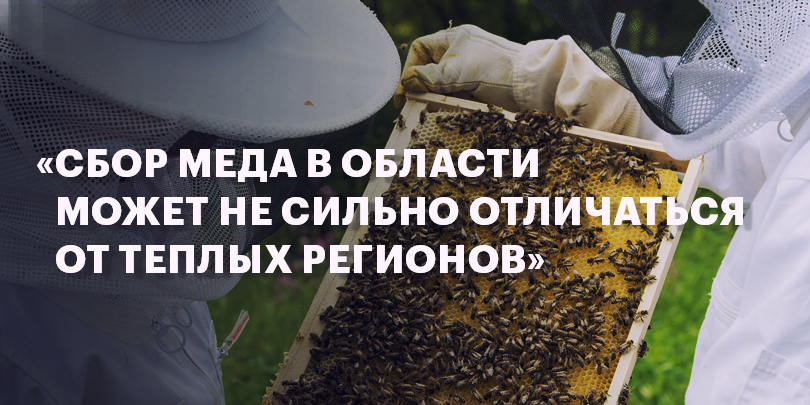 Медовые берега: в Калининградской области растет число пасек