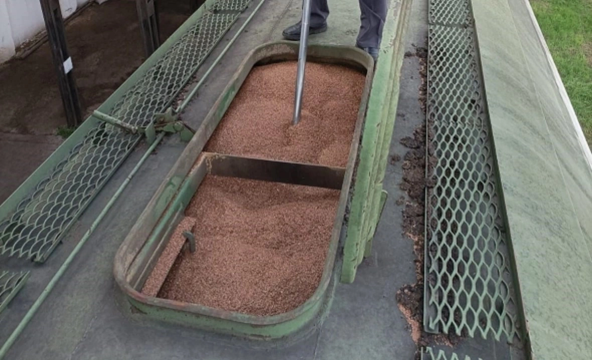 Россельхознадзор