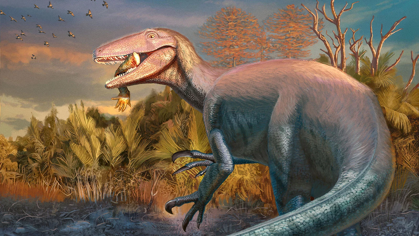 Динозавр Joaquinraptor casali