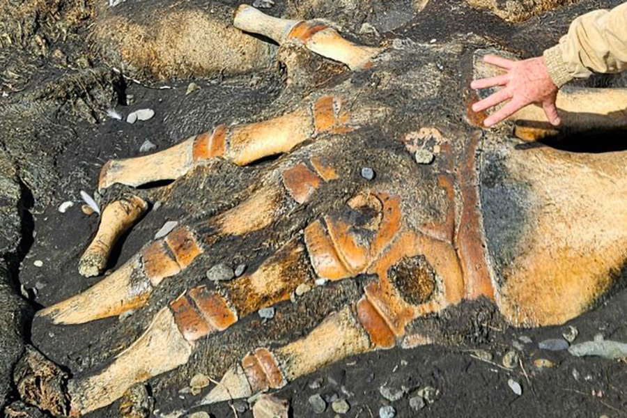 Фото: tourismKunashirShikotan / Telegram