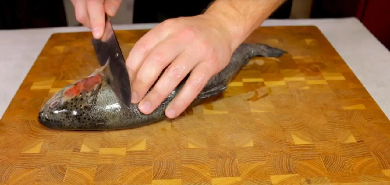 Разделайте рыбу, чтобы достать филе
