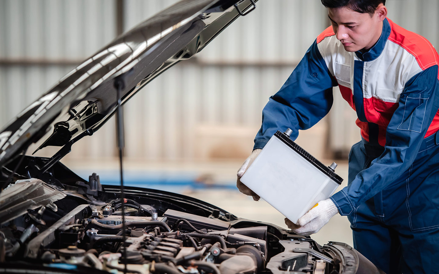 Фото: BELL KA PANG / Shutterstock / FOTODOM