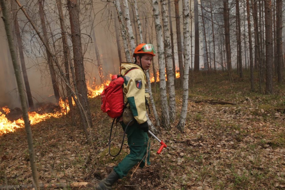 На предупреждение лесных пожаров потратят 1 млрд рублей