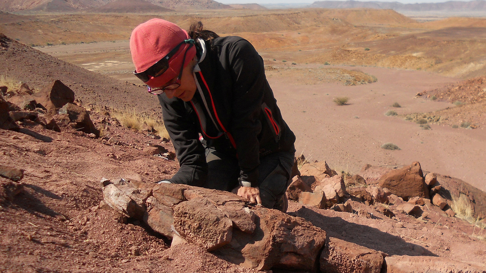 <p>Палеонтолог Клаудия Марсикано рассматривает ископаемый скелет древнего хищника&nbsp;Gaiasia jennyae во время полевых работ в Намибии</p>