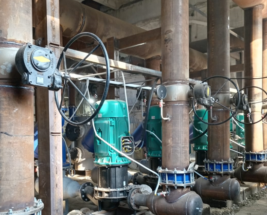 Владивостокское предприятия электрических сетей