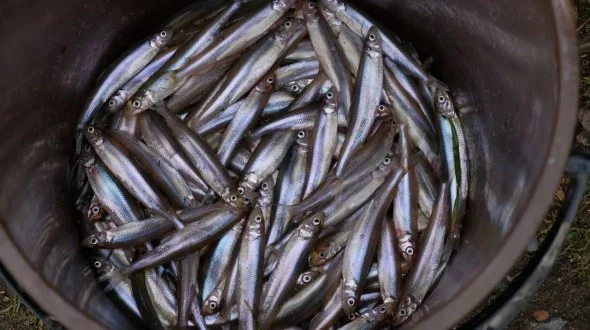 архив РБК Калининград