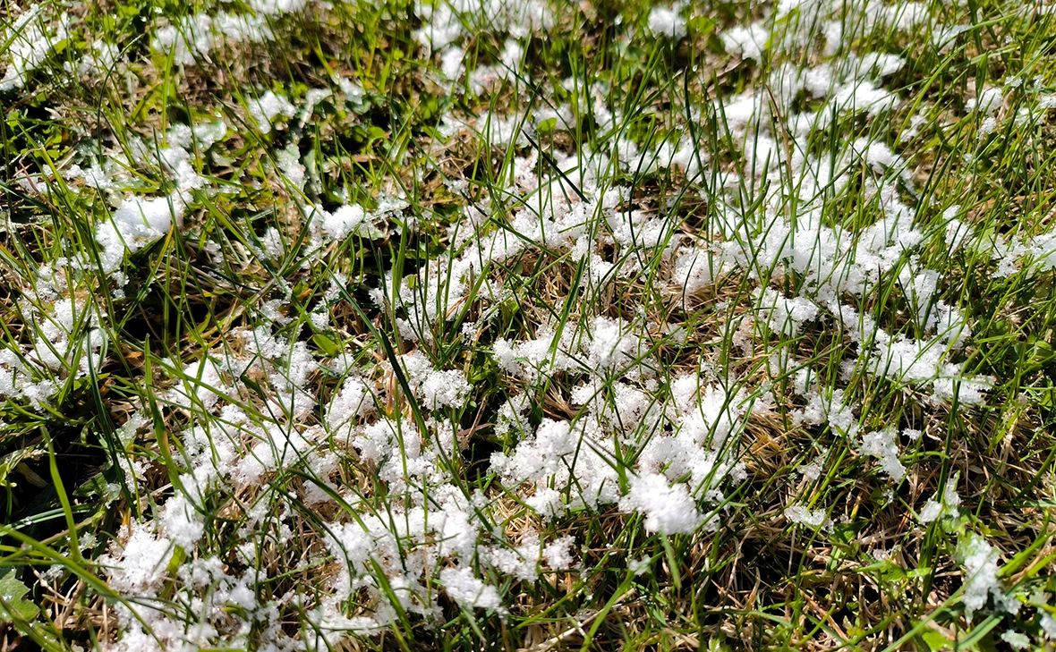 Максим Константинов / Global Look Press