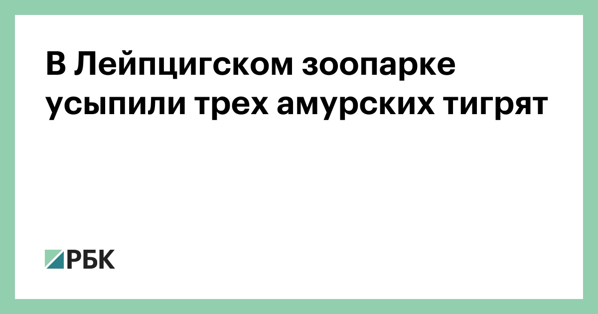 В Лейпцигском зоопарке усыпили трех амурских тигрят