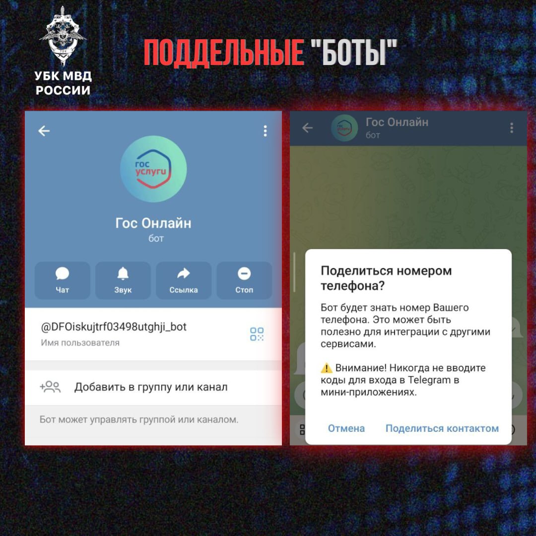 Фото: УБК МВД России