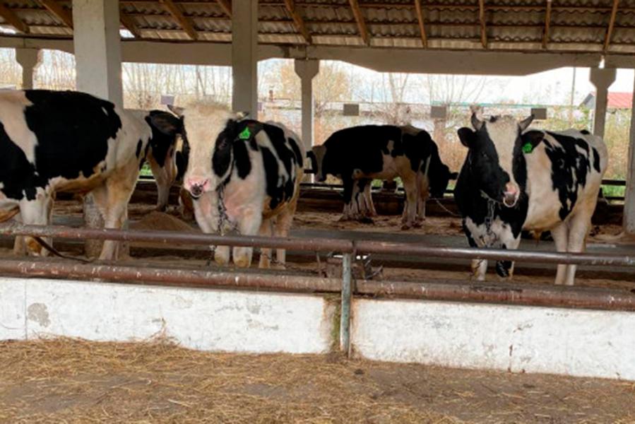 Правительство Новосибирской области