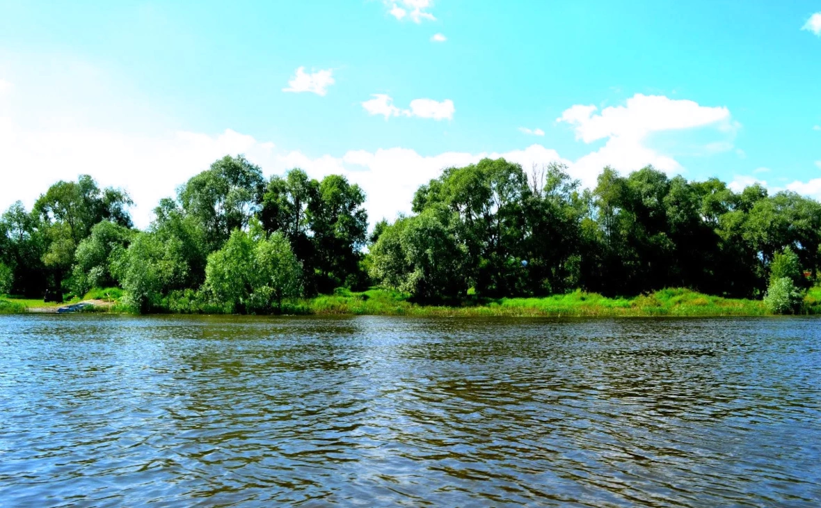 РБК Черноземье