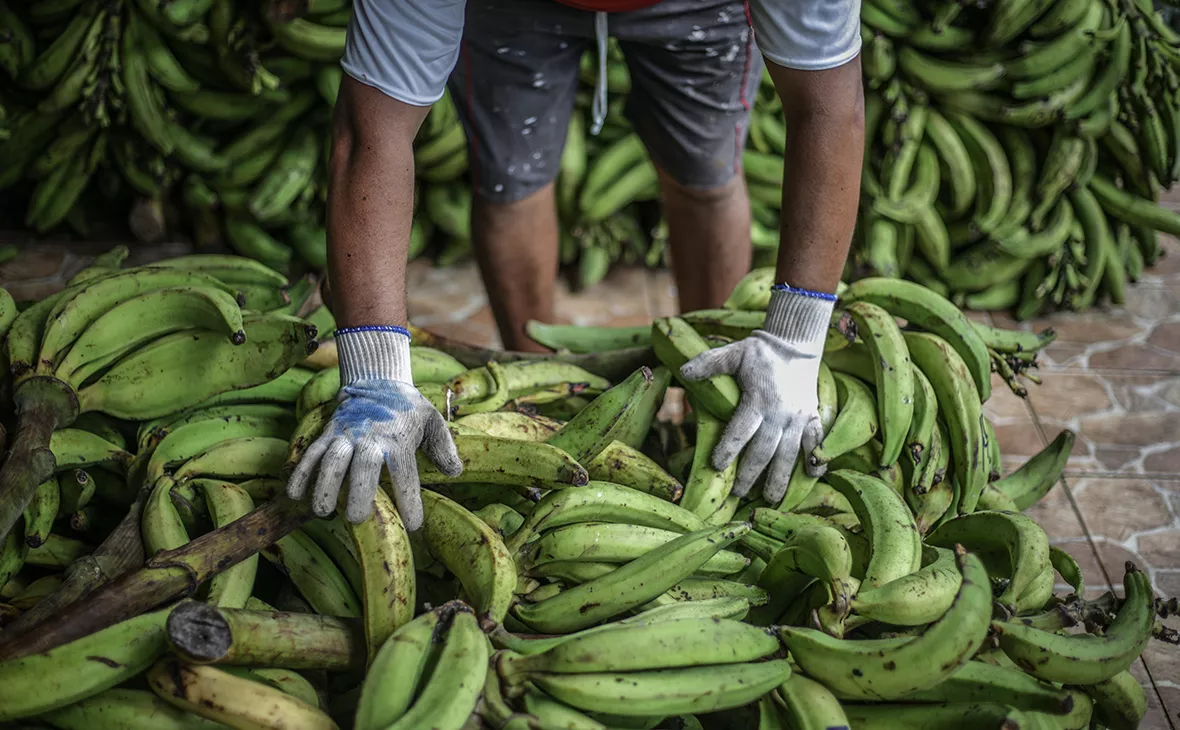 Andre Coelho / Getty Images