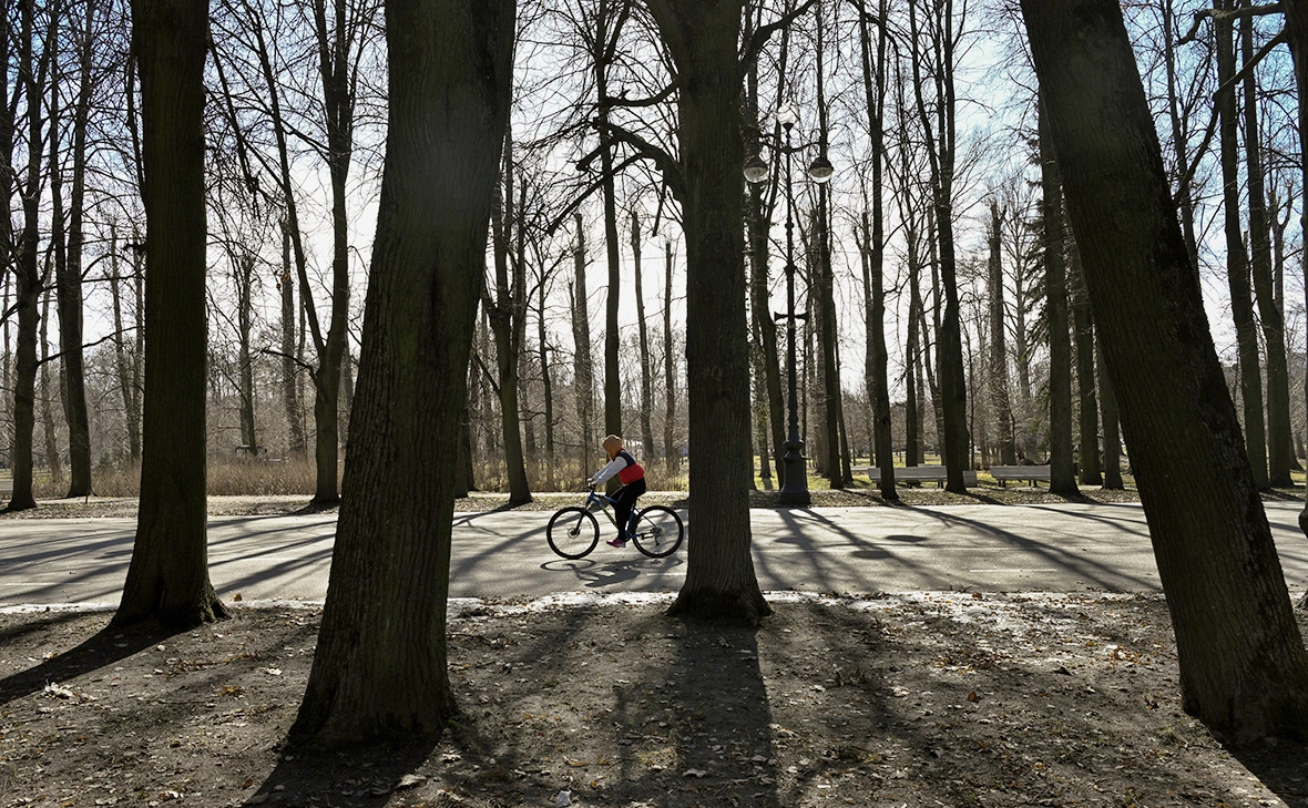 Алексей Даничев / РИА Новости