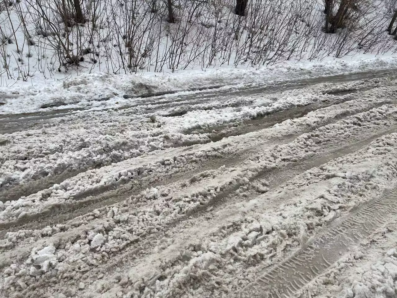 РБК Новосибирск