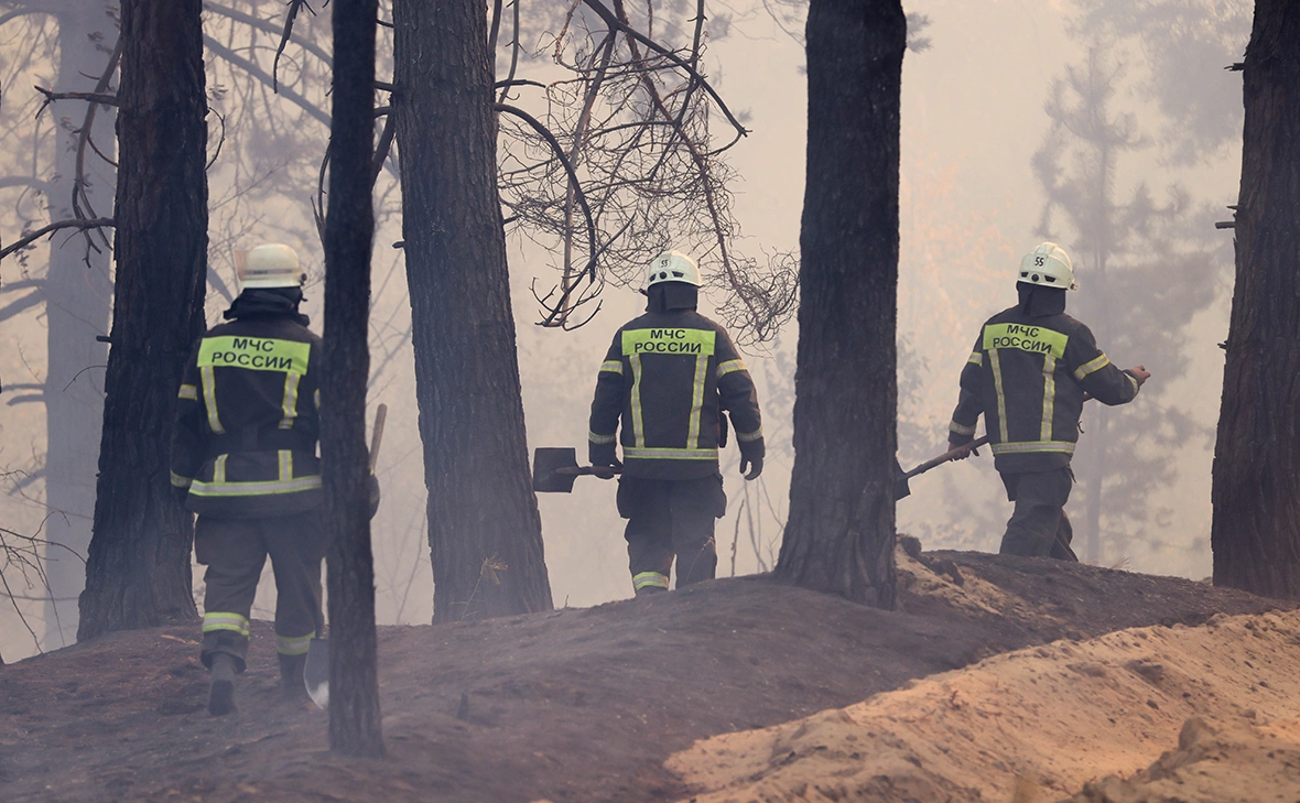 Александр Река / ТАСС