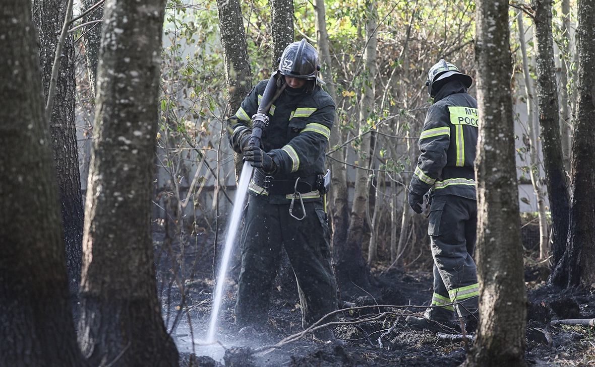 Павел Колядин / ТАСС