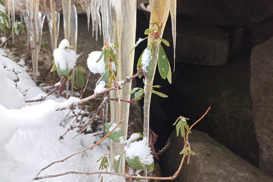 Фото: Алексей Исиченко / РБК