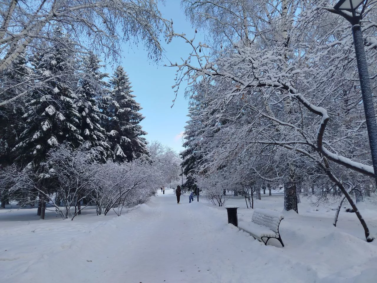 Анна Иванова / РБК Новосибирск