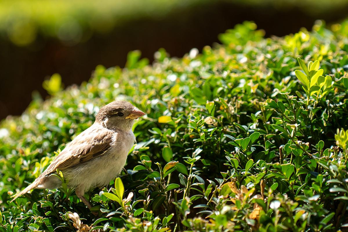 Фото: Maryia Blizniakova / Shutterstock / FOTODOM 