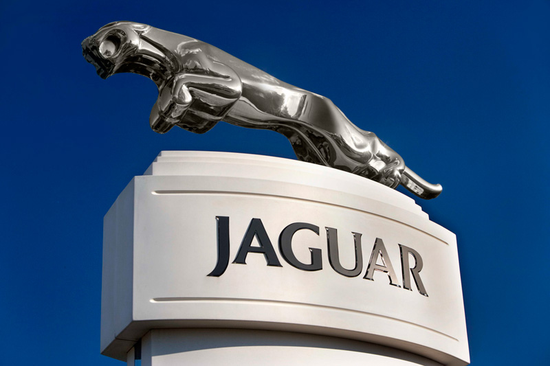 Jaguar winter health check – будьте начеку