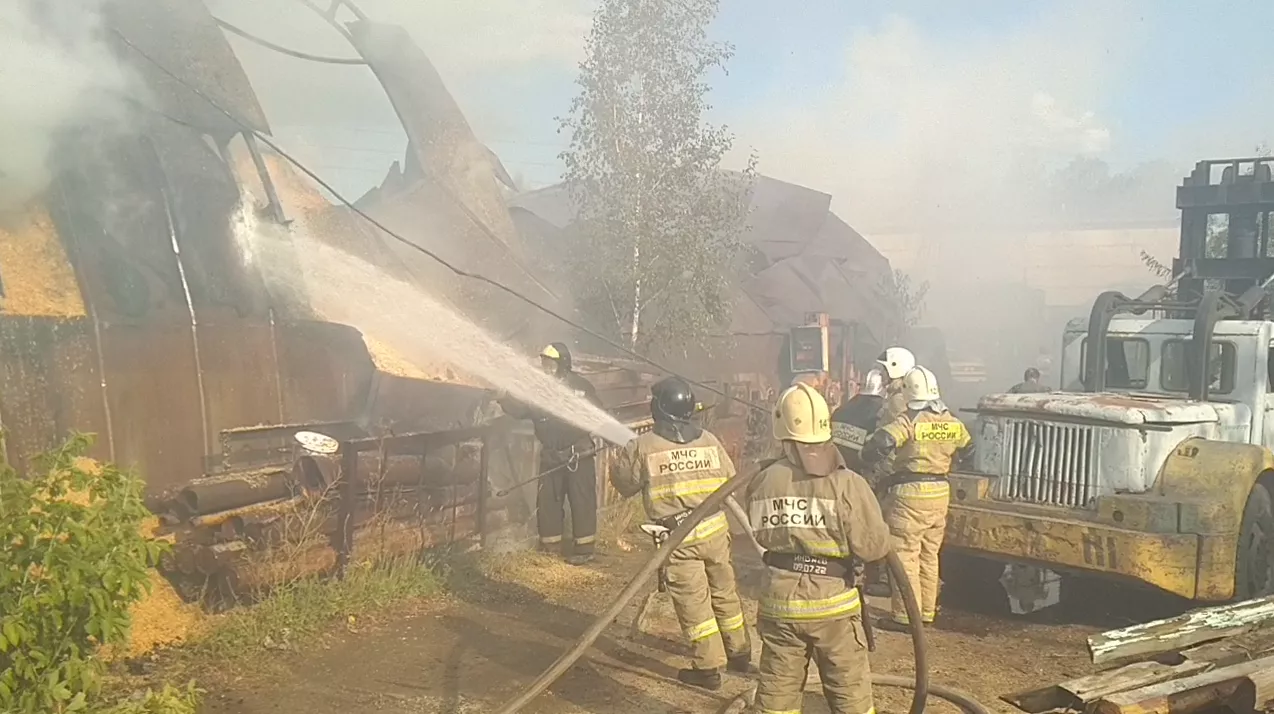 Скриншот видео / МЧС РФ по Тюменской области