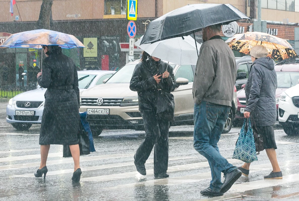 Денис Моргунов / URA.RU 