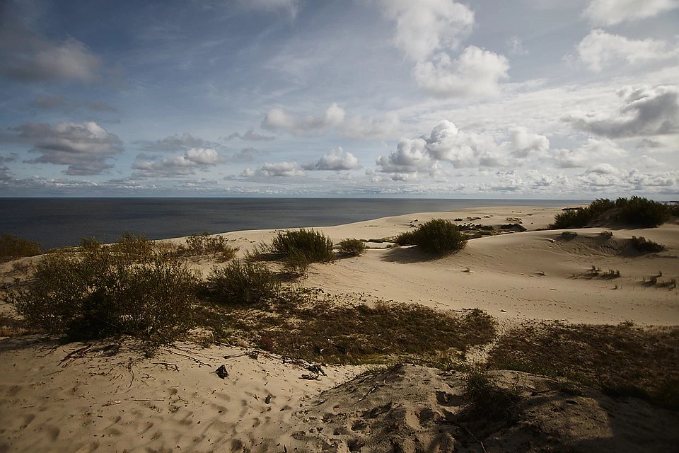 Александр Подгорчук