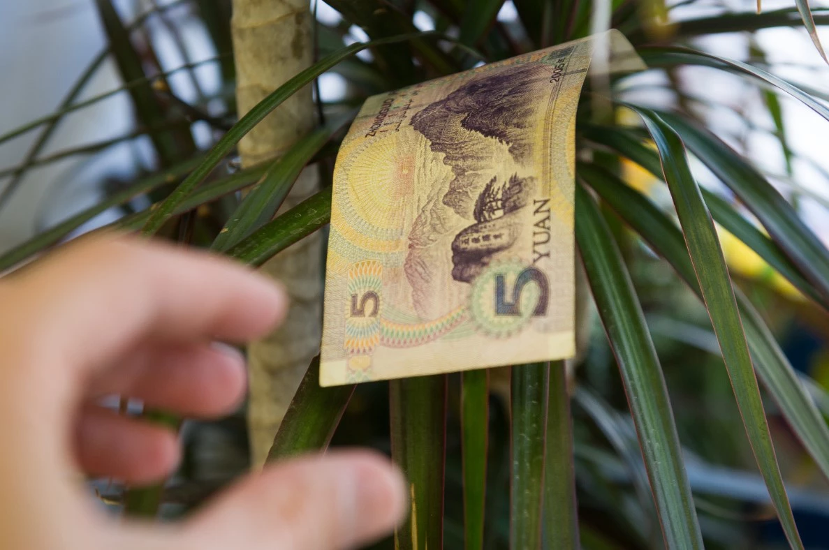 Владимир Жабриков / URA.RU