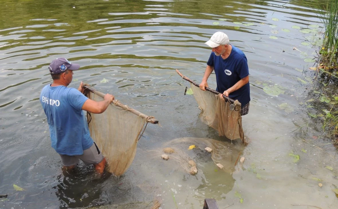 пресс-служба министерства природных ресурсов и экологии Воронежской области