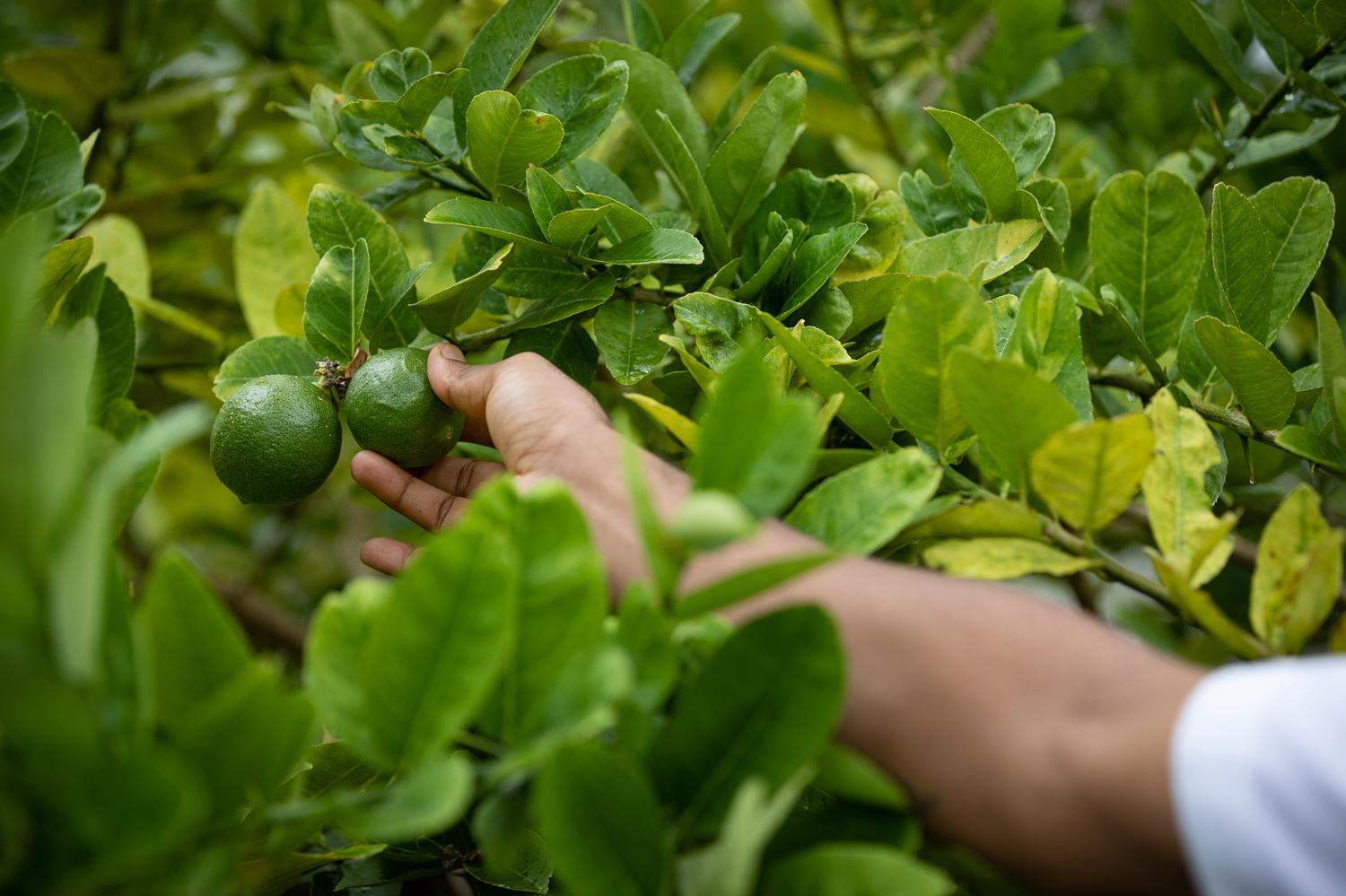 Фото: пресс-служба