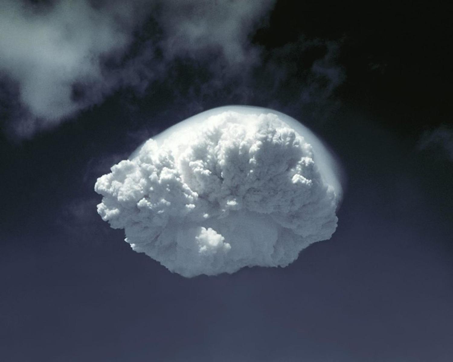 Альберто Синигалья, Ivy King II Cloud