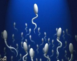Австралийские политики станут донорами спермы