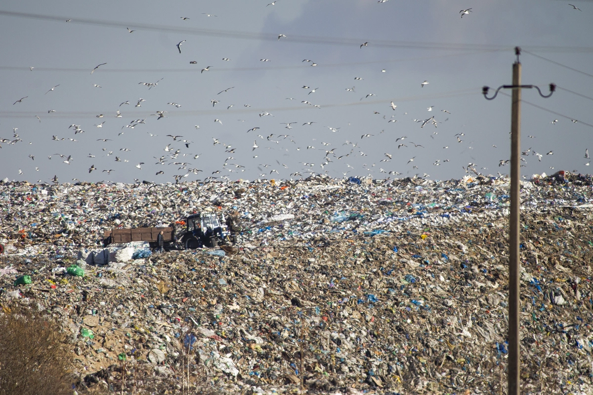 Александр Подгорчук