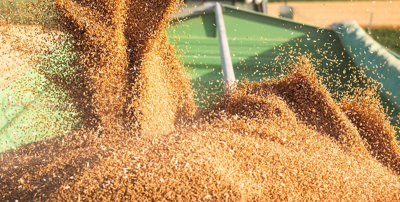 Фото: Shutterstock