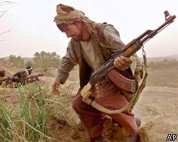 Талибы: Мы убили 20 американских спецназовцев