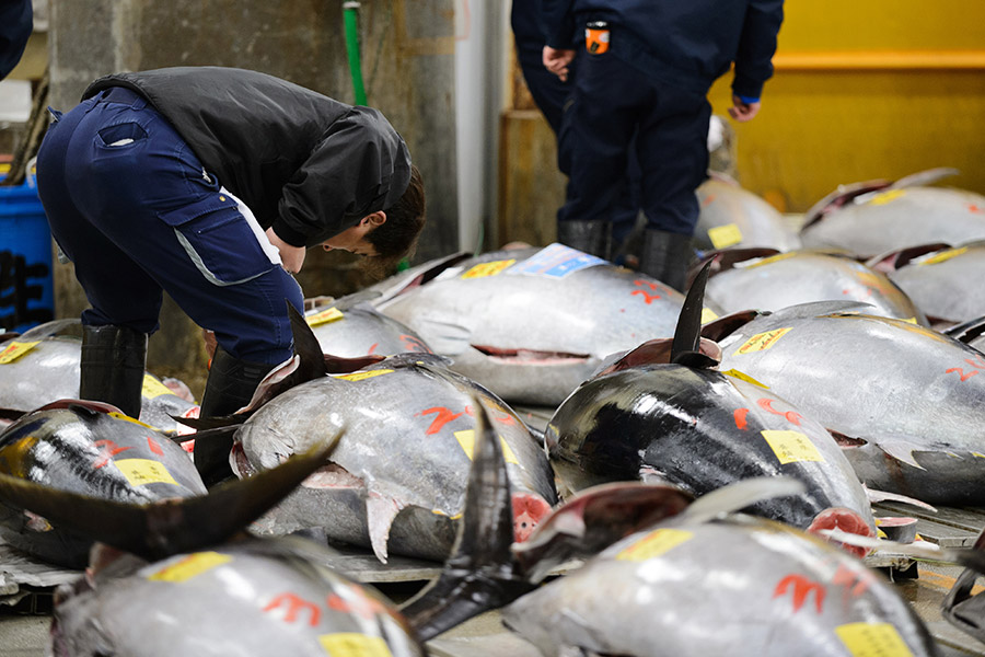 Рынок Цукидзи считается одним из крупнейших в мире оптовых рынков рыбы и морепродуктов. В 2016 году власти Токио решили перенести его в другой район города из-за подготовки к летней Олимпиаде 2020 года, но позднее эти планы были отложены до осени 2018 года.