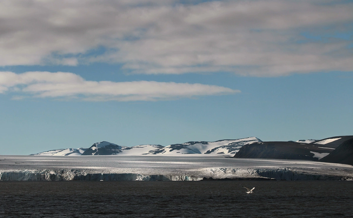 Валерий Мельников / РИА Новости