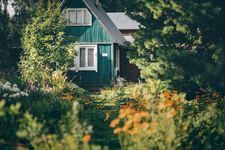 Фото: shutterstock